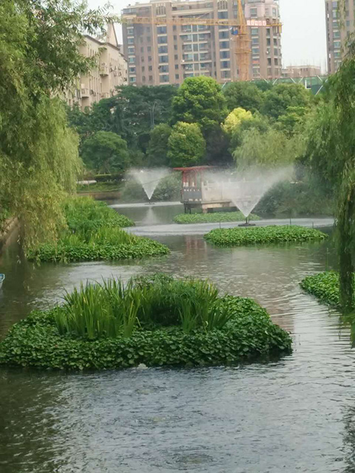 沉水式鼓榴莲视频黄色下载-河道治理