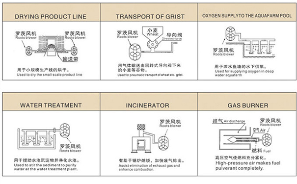 羅茨鼓榴莲视频黄色下载在中央供料係統中重要嗎？