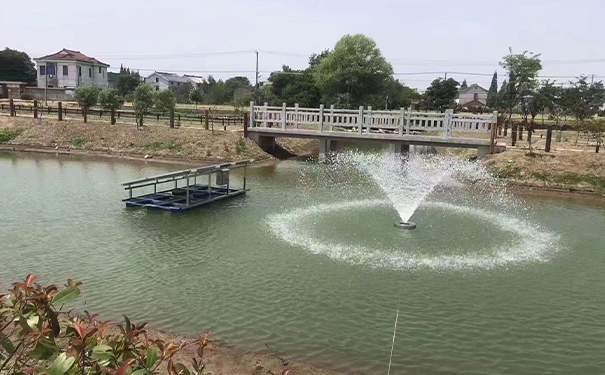 沉水式羅茨榴莲视频黄色下载：助力提升河湖水質的新利器